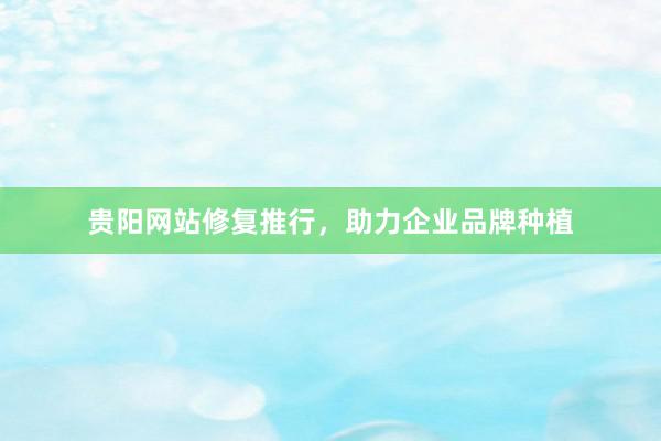 贵阳网站修复推行，助力企业品牌种植